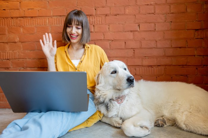 Kennel Software