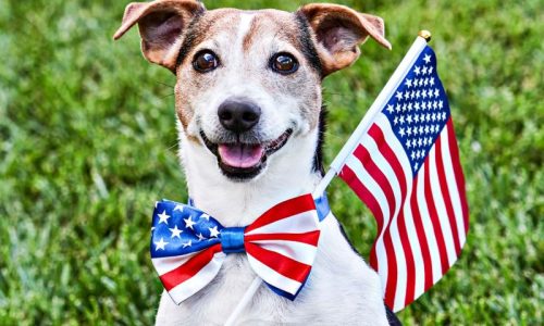 4thofjulyblog