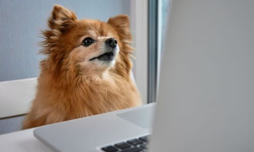 Audit Trail Blog