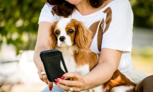 ClientCommunicationBlog