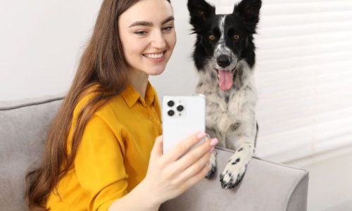 CommunicationToolsBlog (1)