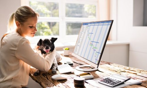 Woman sitting at computer with a dog. Dog Boarding Software Comparison: PetExec vs Kennel Connection