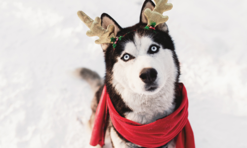 HolidayRevenueBlog (1)