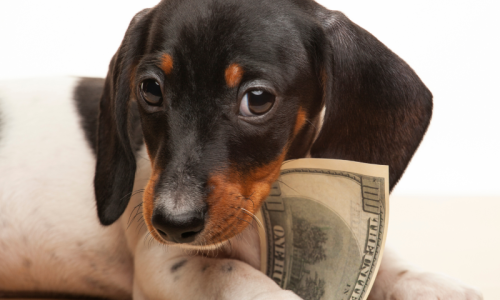 KCProcessingBlog (1)