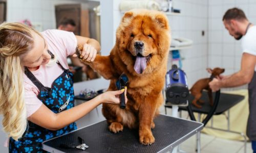 PersonalizedGroomingBlog (1)