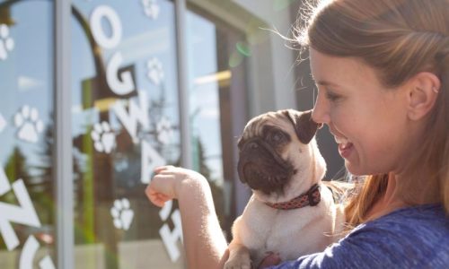 PetCareDemandBlog