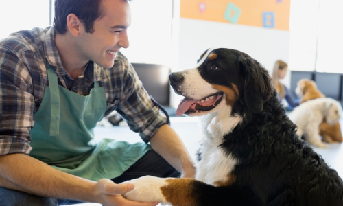 StaffTrainingBlog (1)