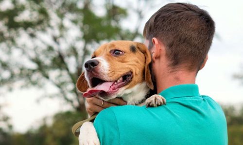 dogfathersdayblog (1)