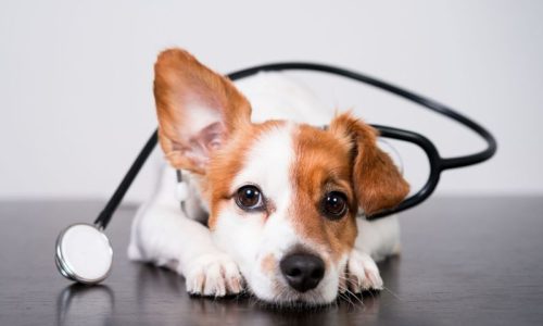 healthrecordsblog