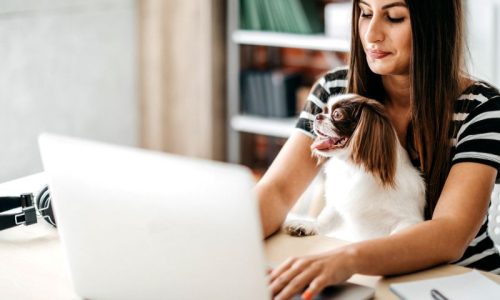 petbookingportal