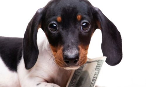 special rates blog